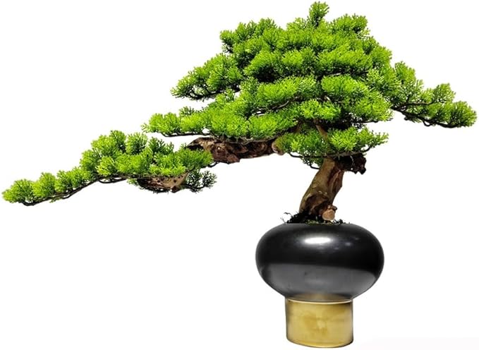 Pine Tree Bonsai Living Room Home Furnishings Hotel Entrance Decoration Green Plant and Potted Plant Decorations